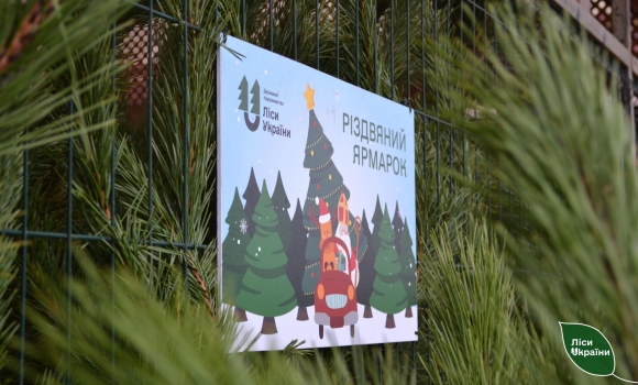 На Вінниччині під час різдвяних ярмарків продали понад сім тисяч хвойних дерев