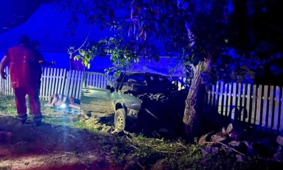 На Вінниччині після зіткнення автомобіля з деревом загинули водій та пасажир Volkswagen