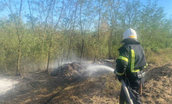 На Вінниччині полум’я охопило територію на площі двох гектарів