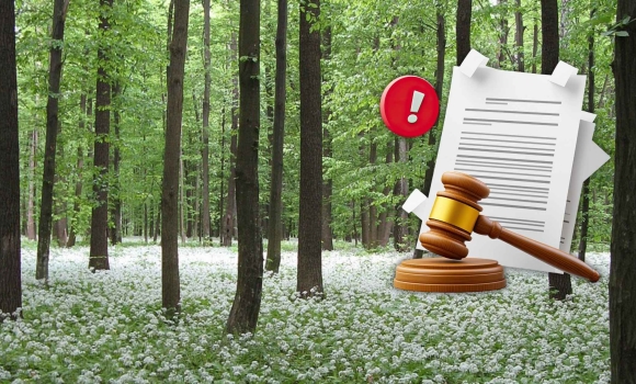 На Вінниччині повертають з незаконного користування заказник «Дашівський»