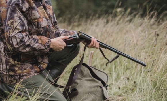 На Вінниччині проведуть відстріл лисиці червоної, вовків і шакалів