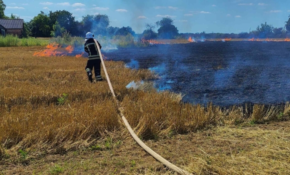 На Вінниччині рятувальники ліквідували шість пожеж на відкритих територіях 