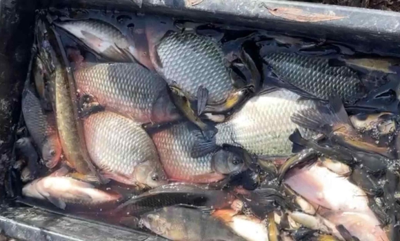 На Вінниччині рибалка перевищив норму вилову на 155 кг і отримав двомільйонний штраф