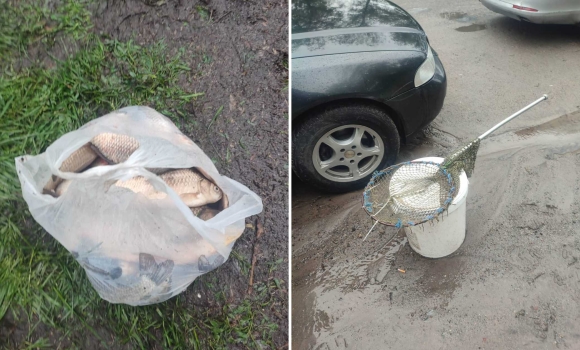 На Вінниччині рибалка виловив понад 50 кілограмів риби