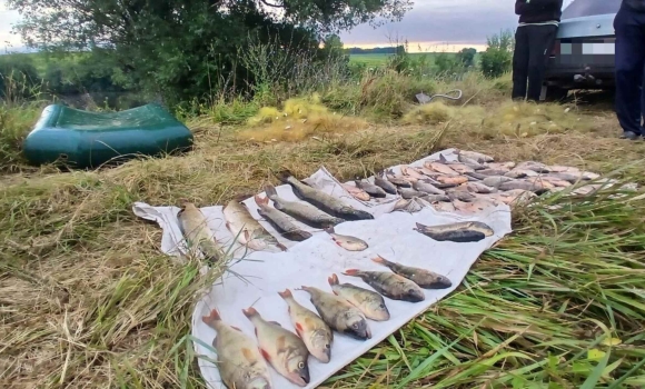На Вінниччині рибалок-браконьєрів спіймали з чотирма сітками й незаконним уловом
