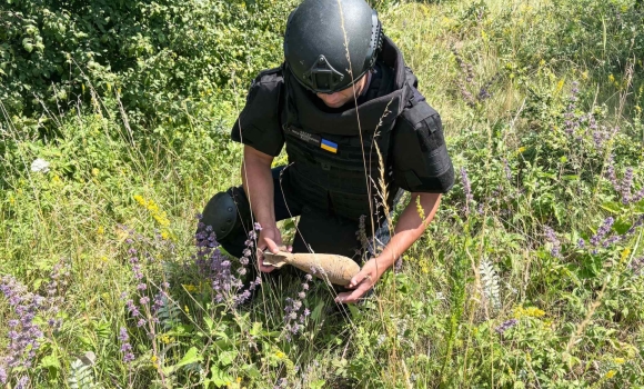 На Вінниччині сапери ДСНС знищили мінометну міну