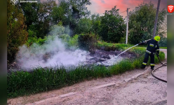 На Вінниччині сталося чотири пожежі в екосистемах