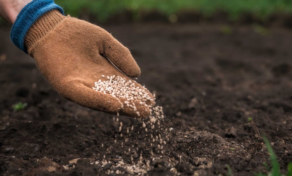 На Вінниччині триває посівна засіяно вже 12% площ