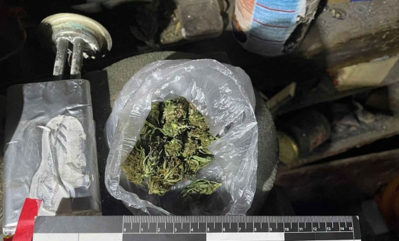 На Вінниччині у чоловіка вилучили коноплі, які він зберігав для власного споживання На Вінниччині у чоловіка вилучили коноплі, які він зберігав для власного споживання