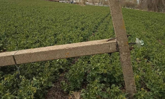 На Вінниччині відновлюють сотні електропідстанцій після нищівного шквалу