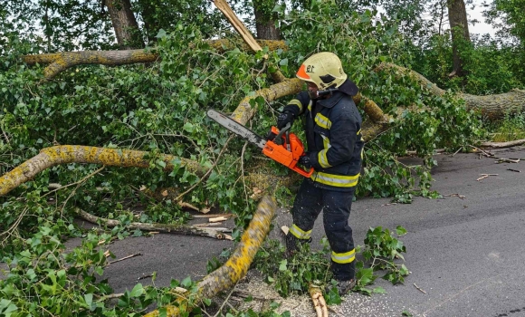 На Вінниччині вітер вночі валив дерева на дороги