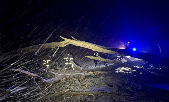 На Вінниччині вночі сильний вітер повалив дерева на автошляхи