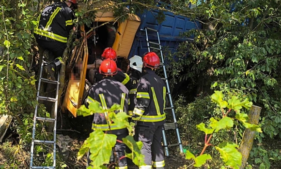 На Вінниччині водій вантажівки з’їхав у кювет та протаранив дерево