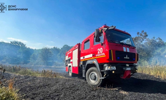 На Вінничині вогнем обпалено майже 8 гектарів землі