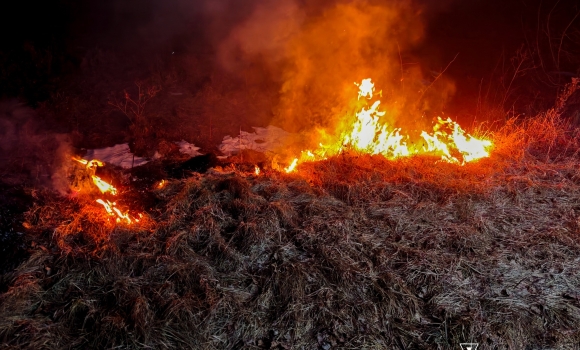 На Вінниччині вогонь обпалив понад два гектари землі