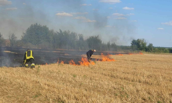 На Вінниччині вигоріли десятки гектарів сільськогосподарських угідь