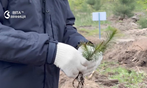На Вінниччині висадили понад 2,5 мільйони нових дерев за весняний сезон На Вінниччині висадили понад 2,5 мільйони нових дерев за весняний сезон