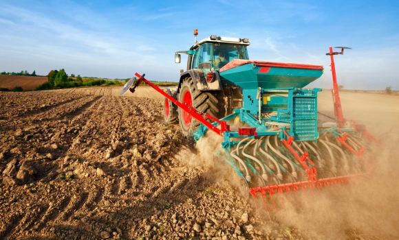 На Вінниччині вже посіяні озимі зернові культури на понад 65% прогнозованих площ На Вінниччині вже посіяні озимі зернові культури на понад 65% прогнозованих площ