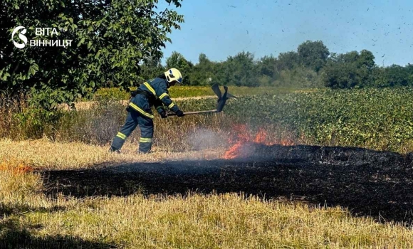 На Вінниччині за добу вигоріло близько 4 гектарів сухої трави