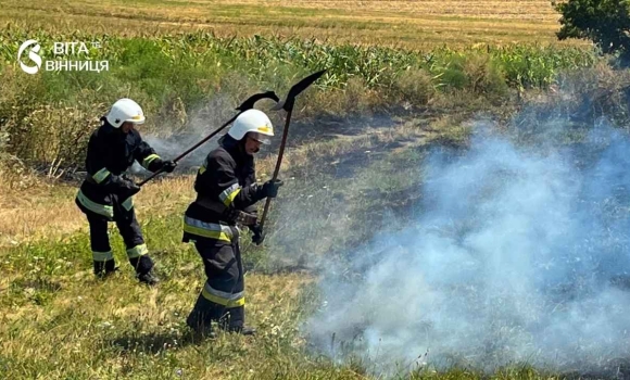 На Вінниччині за добу вигоріло понад дев'ять гектарів сухої стерні