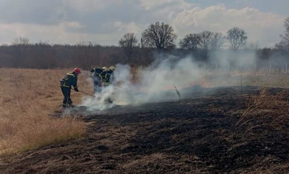 На Вінниччині за добу вигоріли одинадцять гектарів землі