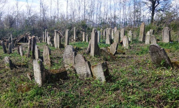 На Вінниччині за німецькі кошти рятують від зникнення унікальний єврейський некрополь
