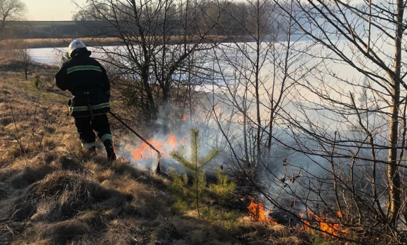 На Вінниччині зафіксували антирекорд з кількості пожеж в екосистемах з початку року