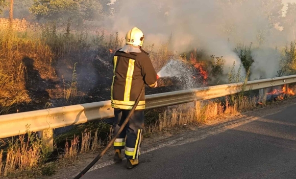 На Вінниччині зафіксували пожежі у чотирьох районах та обласному центрі
