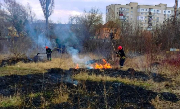 На Вінниччині загинула 88-річна жінка запалила стерню і не впоралась з полум'ям