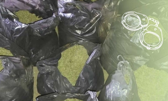 На Вінниччині засудили чоловіка, який зберігав 47 кг канабісу вдома