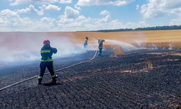 На Вінниччині згоріло два гектари пшеничного поля