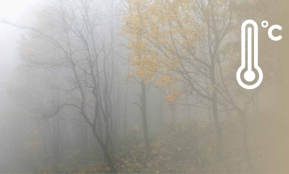 На Вінниччину 13 листопада знову опуститься густий туман