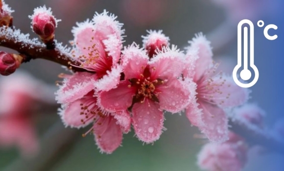 На Вінниччину йдуть сильні заморозки до -5° скільки ще чекати на потепління