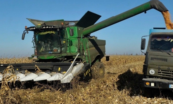 На Вінниччини аграрії зібрали соняшник на понад 50% площ