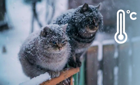 На Вінницю вже насувається новий морозний антициклон — коли чекати похолодання