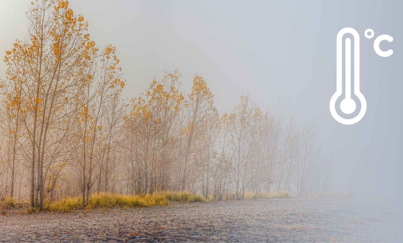 На вихідні у Вінниці синоптики обіцяють тумани - будьте обережні на дорозі 