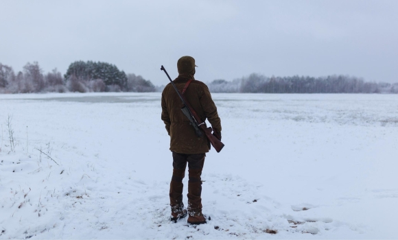 На вихідних у Вінницькій області запланували відстріл хижих і шкідливих тварин