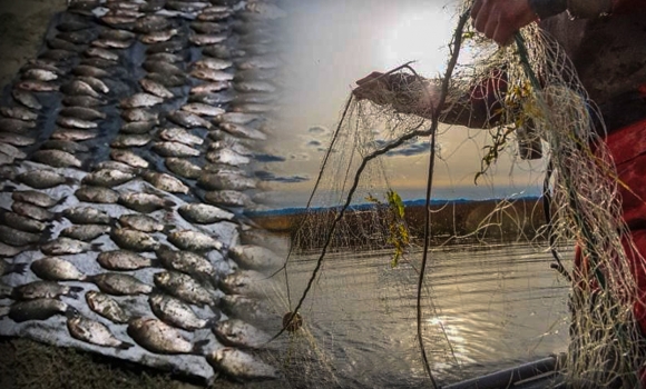 На Жмеринщині браконьєр наловив сітками риби на майже 400 тис. грн
