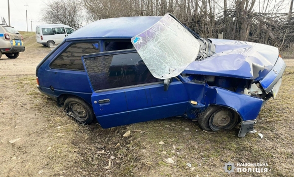 На Жмеринщині п'яний водій автомобіля ЗАЗ в'їхав в електроопору