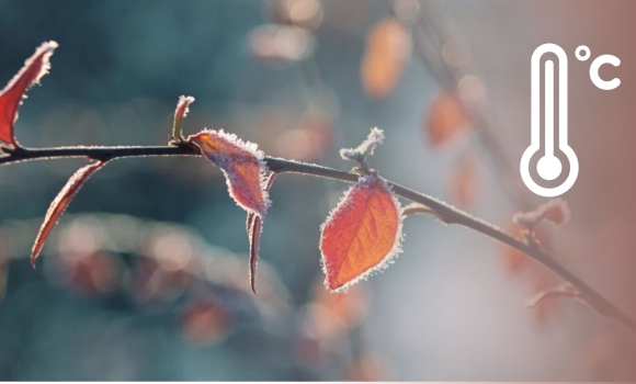 Наближається серйозне похолодання що радять вінничанам синоптики у найближчі дні Наближається серйозне похолодання що радять вінничанам синоптики у найближчі дні