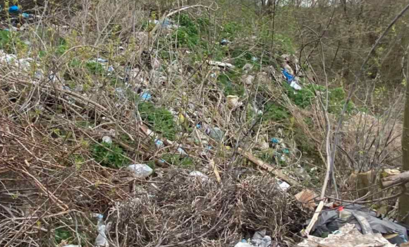 Небайдужі повідомили екологам про стихійне сміттєзвалище у Війтівецькій громаді