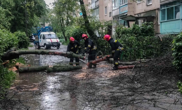 Негода валила дерева на вулицях Вінниці та дорогах області