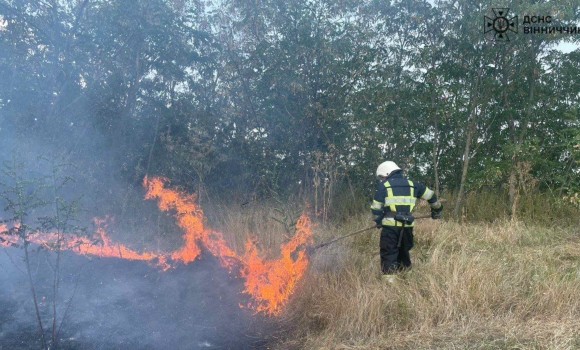 Обпалено понад 14 гектарів землі на Вінничині надзвичайники ліквідували 13 загорянь