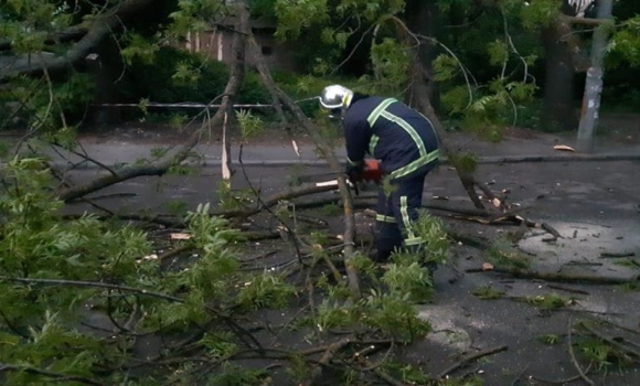 Рятувальники Вінниччини прибрали з дороги повалене дерево