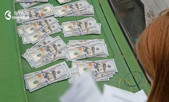 Одружилася з ухилянтом за гроші на Вінниччині винесли вирок організаторці схеми