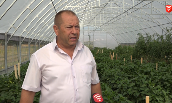 Органічна продукція: як експериментують у вінницьких теплицях?