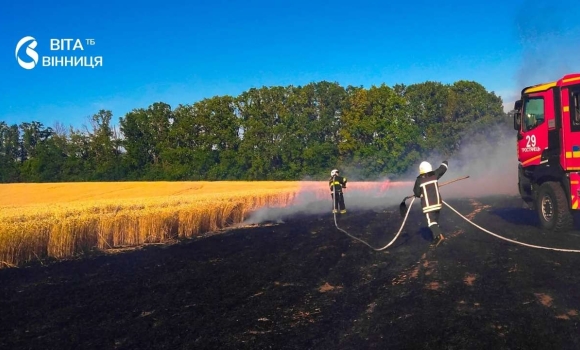 П'ять гектарів вогню на Вінниччині за добу ліквідували десять пожеж
