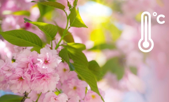 Парасольки чи сонцезахисні окуляри яка погода чекає вінничан найближчими днями