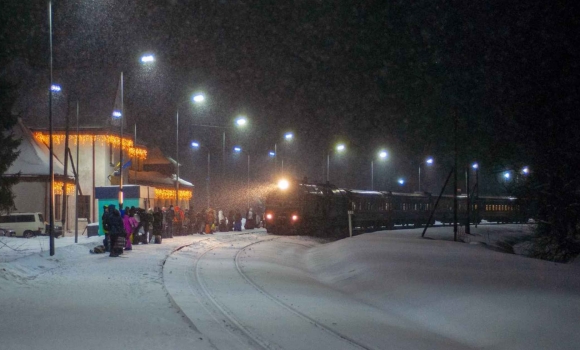 Перепона на залізничному шляху зупинила вночі поїзд “Вінниця – Гайворон”