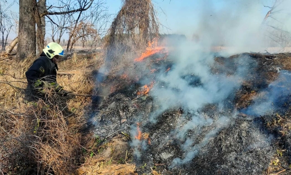 Перша жертва пожежі в екосистемі на Вінниччині – вогонь забрав життя 85-річної жінки